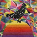 OKUDA - Pigeon for the moon