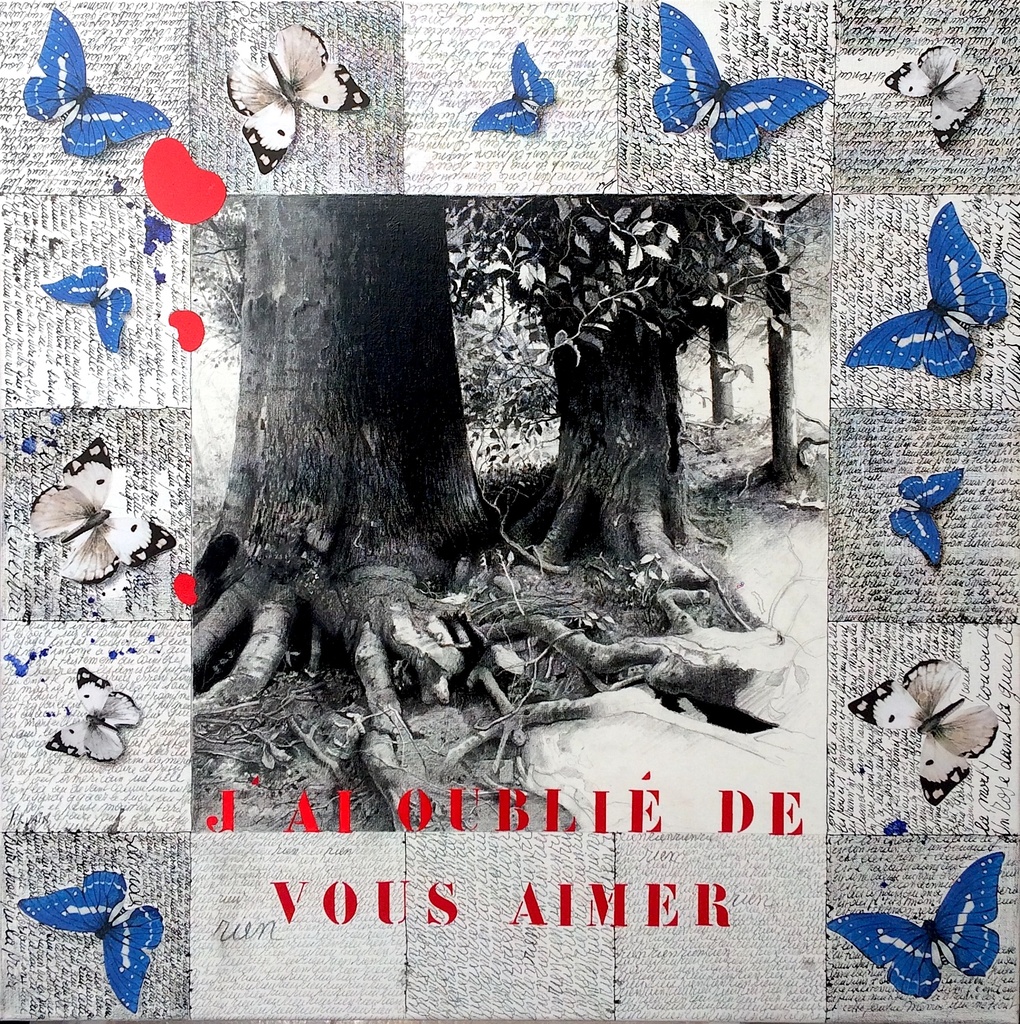 SILVAIN - J'ai oublié de vous aimer