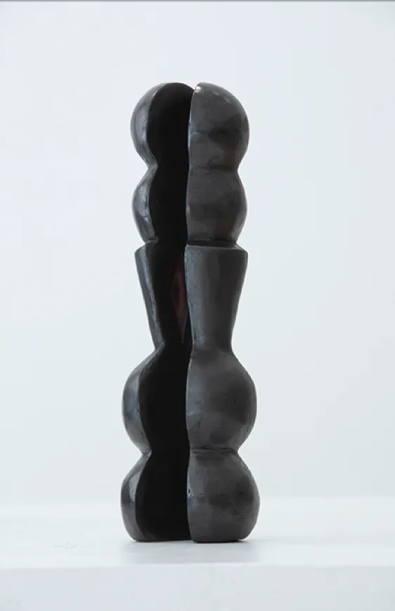 MIREILLE LIÉNARD - Artémis 3
