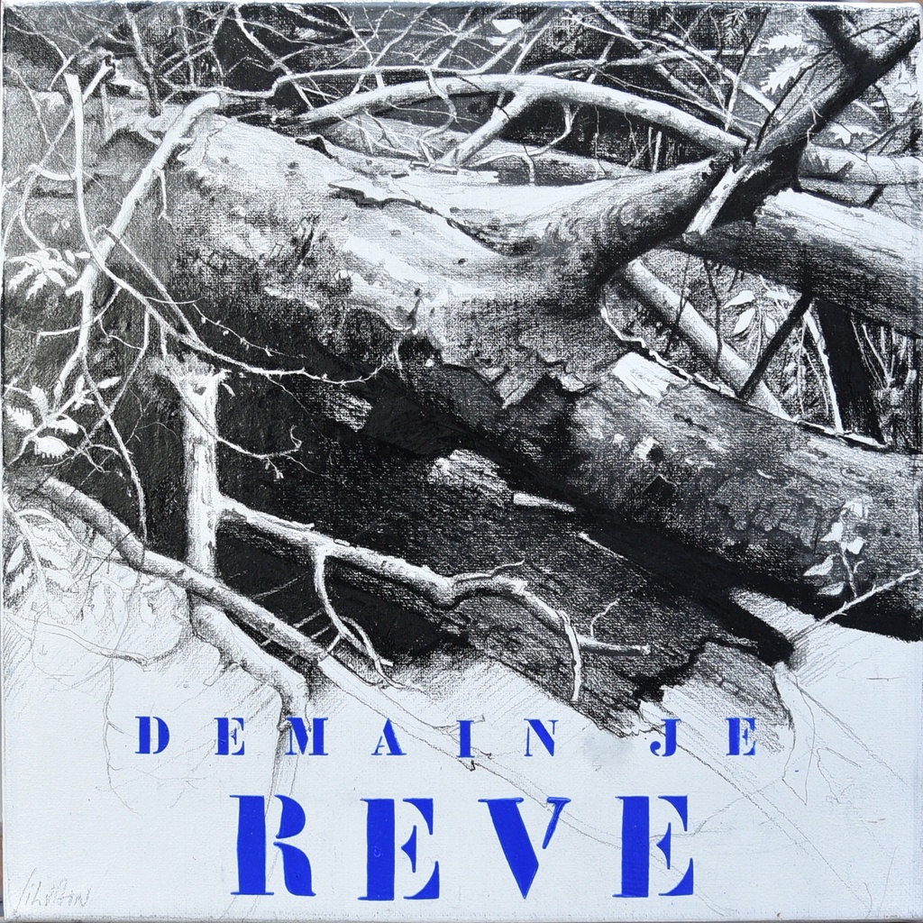 SILVAIN - Demain je rêve