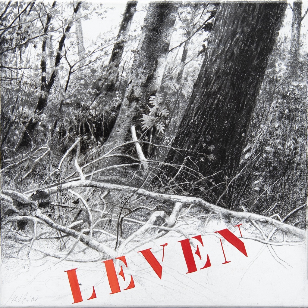 SILVAIN - Leven